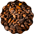 Cocoa Beans